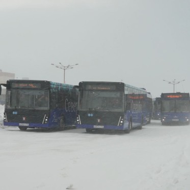 «10 баллов по шкале Бофорта»: как Норильск обеспечивает безопасность в условиях штормов