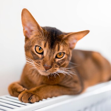 В Норильске завершается отопительный сезон