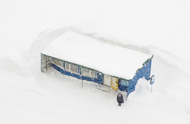 ТаймырФотоГода — 2025