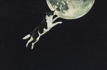 «Снежное молоко снов»