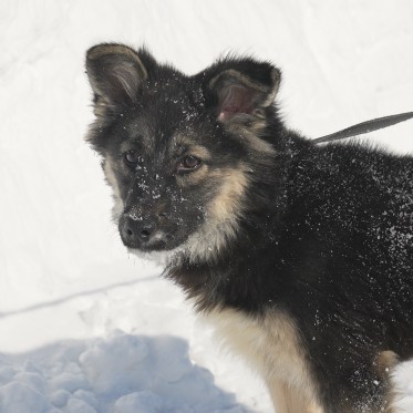 Доброе дело по зову сердца