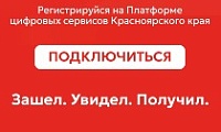 Популярные цифровые сервисы Красноярского края объединили на одной платформе 
