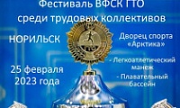 Фестиваль «Готов к труду и обороне» 