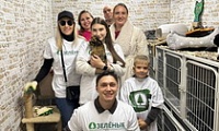 Поездка в приют