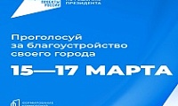 С 15 марта стартует голосование за благоустройство общественных территорий в Норильске