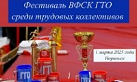 Готов к труду и обороне